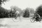 Motorcycle cop chases a Penny Farthing Velocipede Poster Print by Unknown - Item # VARPDX382196